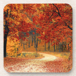 Saisonfarben des Herbstes Getränkeuntersetzer