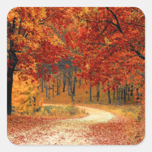 Saisonfarben des Herbstes Quadratischer Aufkleber