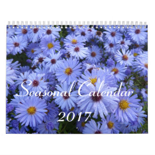 Saisonkalender 2017 kalender