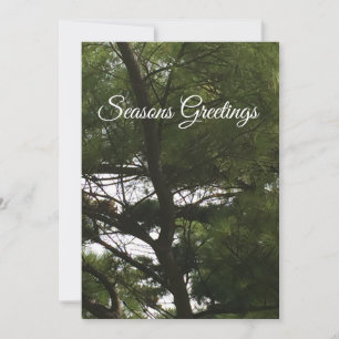 Saisons Grußkarte mit Tannenbaum Feiertagskarte