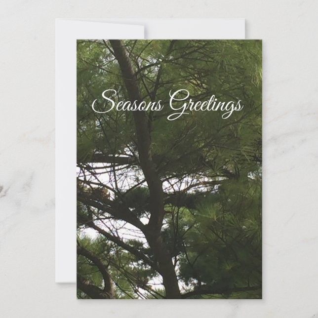 Saisons Grußkarte mit Tannenbaum Feiertagskarte (Vorderseite)