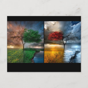 Saisons Postkarte