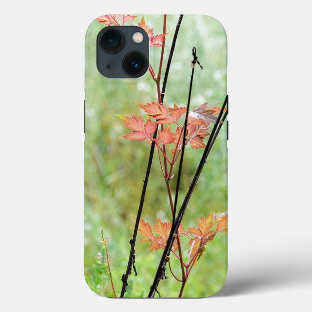 Saisonwechsel, Herbstlaube im grünen Feld, Case-Mate iPhone Hülle (Rückseite)
