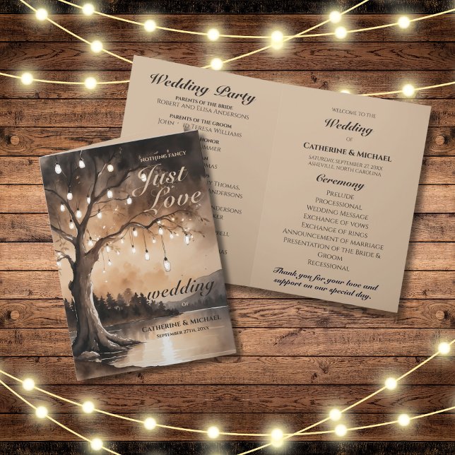 Saitenlichter auf einer romantischen Hochzeit mit  Programm (Flat lay barn wood fairy lights romantic country enchanted woodland forest light wedding program)