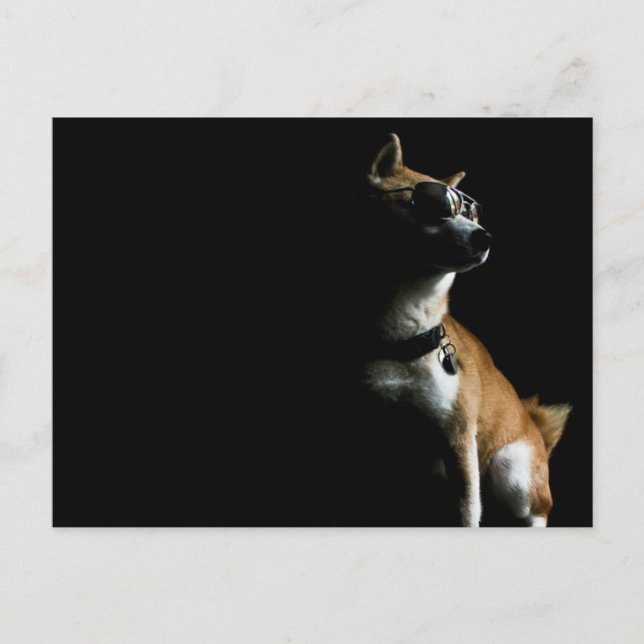 Saké Suave Postcard Postkarte (Vorderseite)