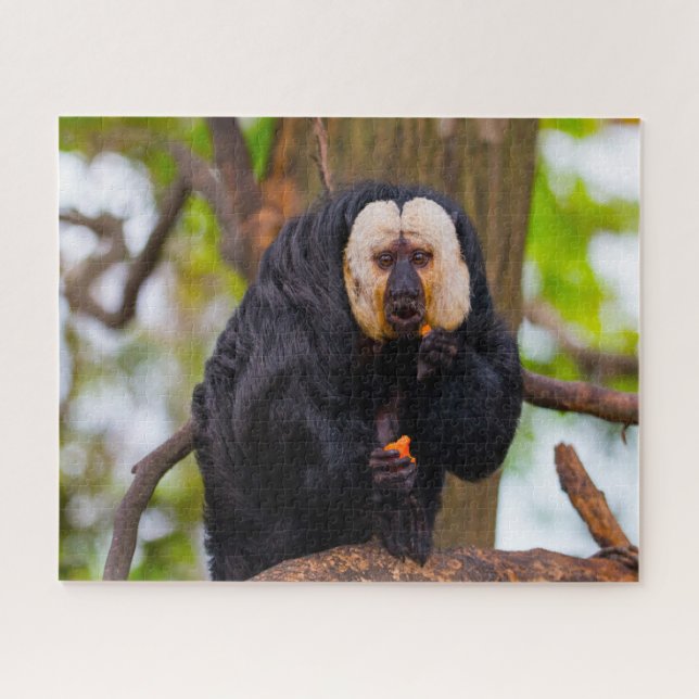 Saki-Affen. Puzzle (Horizontal)