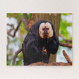 Saki Monkeys. Puzzle