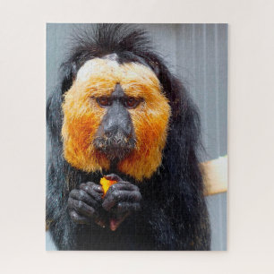 Saki Monkeys. Puzzle