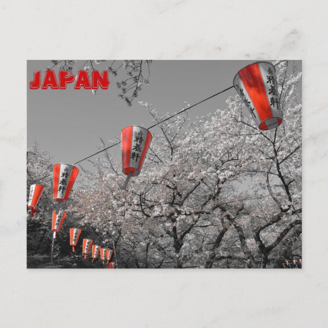 Sakura 2014 Postkarte (Vorderseite)