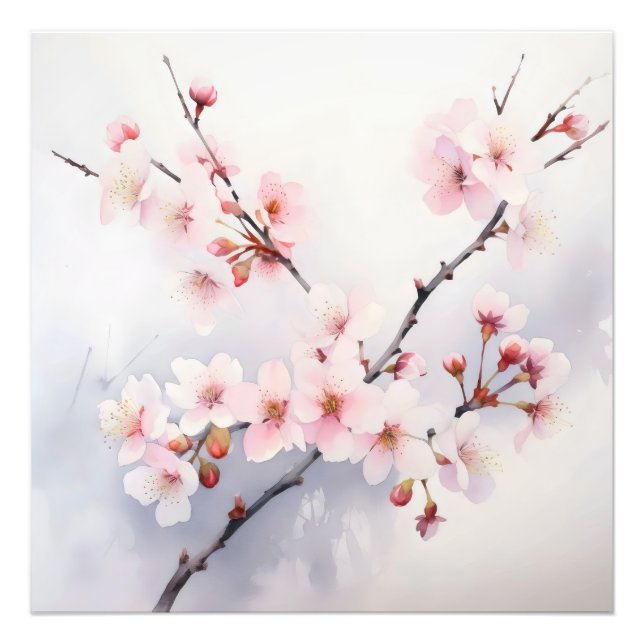 Sakura Blooming Branch Fotodruck (Vorne)