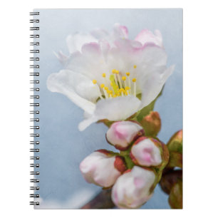 Sakura Blossom Notizblock