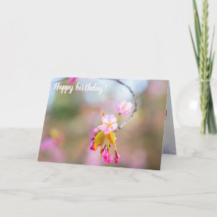 Sakura Blume auf einem Tipp der Twig. Time Helix Karte