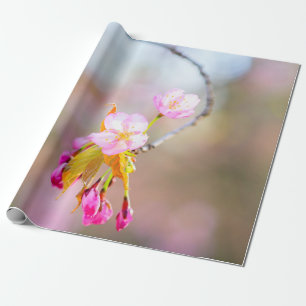 Sakura Blume auf einem Tipp der Zeit Helix Geschenkpapier
