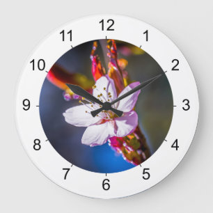 Sakura - Blume der japanischen Kirsche Große Wanduhr