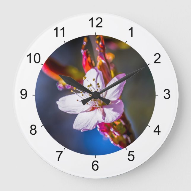 Sakura - Blume der japanischen Kirsche Große Wanduhr (Vorderseite)