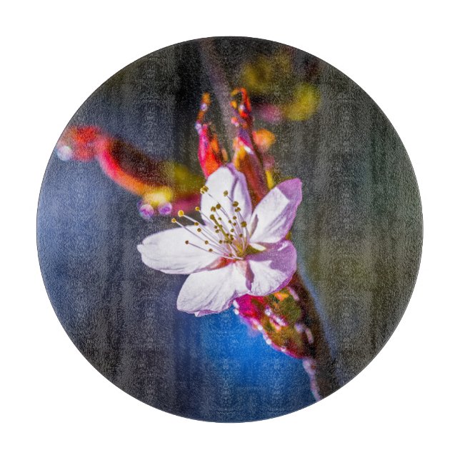 Sakura - Blume der japanischen Kirsche Schneidebrett (Vorderseite)