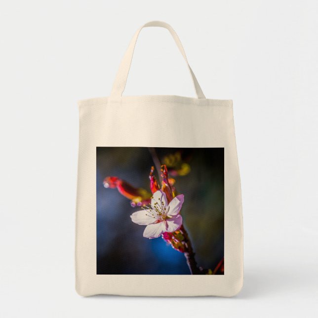 Sakura - Blume der japanischen Kirsche Tragetasche (Vorne)