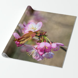 Sakura-Blume gegen den grönländischen Hintergrund Geschenkpapier