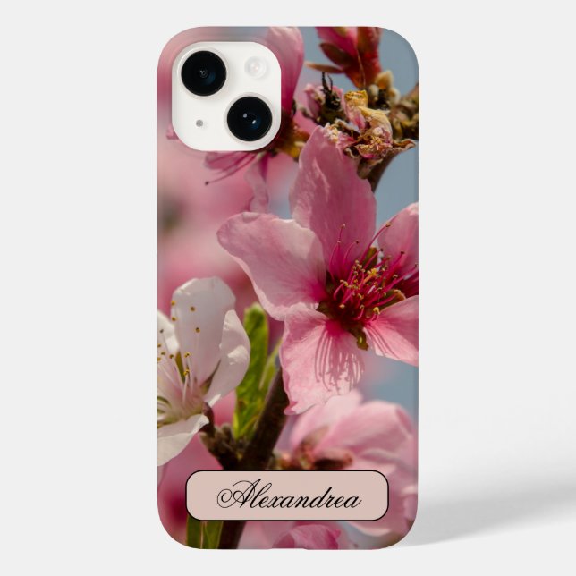 Sakura Blume, rosa japanische Blume Case-Mate iPhone Hülle (Rückseite)