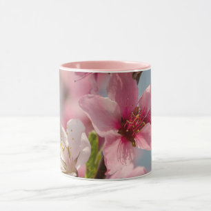 Sakura Blume, rosa japanische Blume Tasse