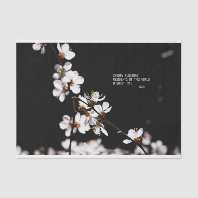 Sakura-Blume Seidenpapier (Vorderseite)