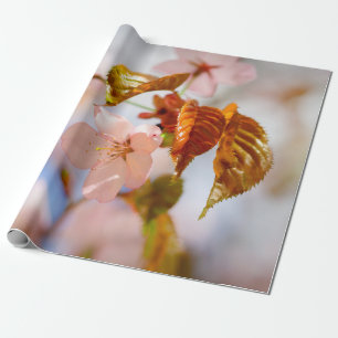 Sakura-Blume und Orange-Blätter Geschenkpapier