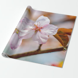 Sakura-Blume und Orangefarbene Blätter im Frühjahr Geschenkpapier
