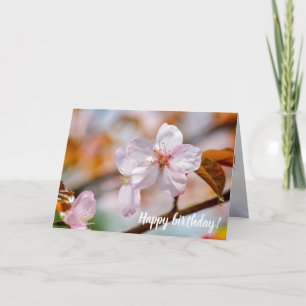 Sakura-Blume und Orangefarbene Blätter im Frühjahr Karte