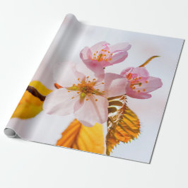 Sakura Blume und weich rosa Hintergrund Geschenkpapier