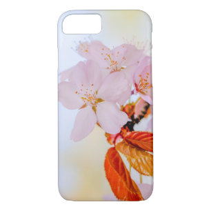 Sakura - Blüte der japanischen Kirsche Case-Mate iPhone Hülle