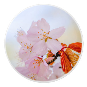 Sakura - Blüte der japanischen Kirsche Keramikknauf