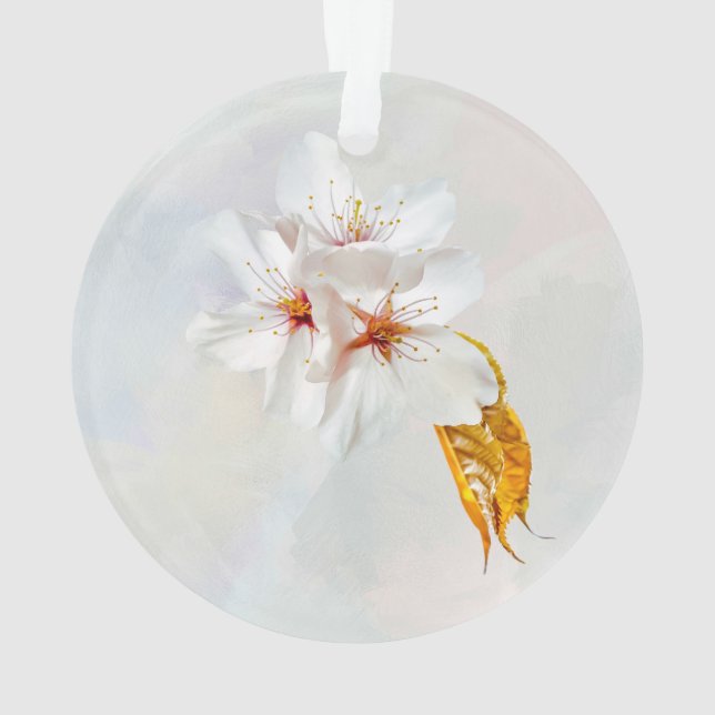 Sakura - Blüte der japanischen Kirsche Ornament (Rückseite)