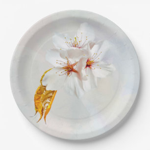 Sakura - Blüte der japanischen Kirsche Pappteller