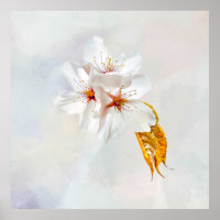 Sakura - Blüte der japanischen Kirsche