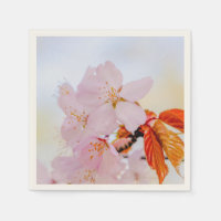 Sakura - Blüte der japanischen Kirsche