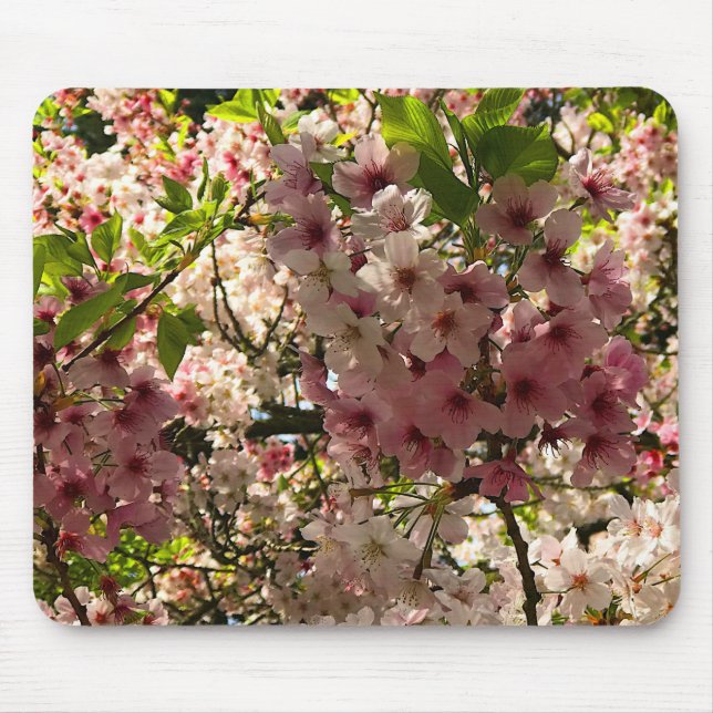 Sakura Cherry Blossom #3 Mouse Pad Mousepad (Vorne)