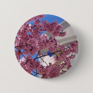 Sakura Cherry Blossoms Americana Button