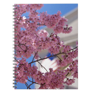 Sakura Cherry Blossoms Americana Notizblock