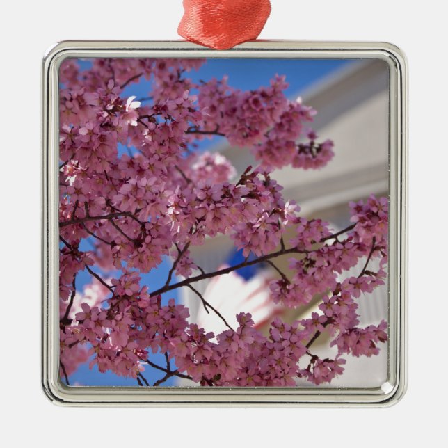 Sakura Cherry Blossoms Americana Silbernes Ornament (Vorne)