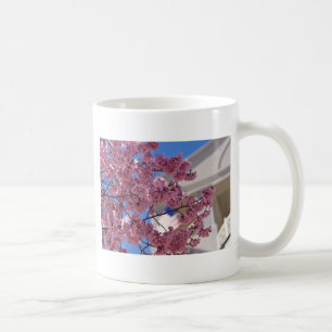 Sakura Cherry Blossoms Americana Tasse