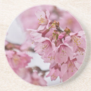 Sakura Cherry Blossoms Pale Pink Sandstein Untersetzer