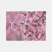 Sakura Cherry blüht pastellrosa Schichten