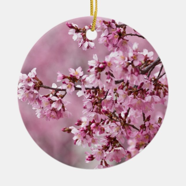 Sakura Cherry blüht pastellrosa Schichten Keramik Ornament (Vorne)