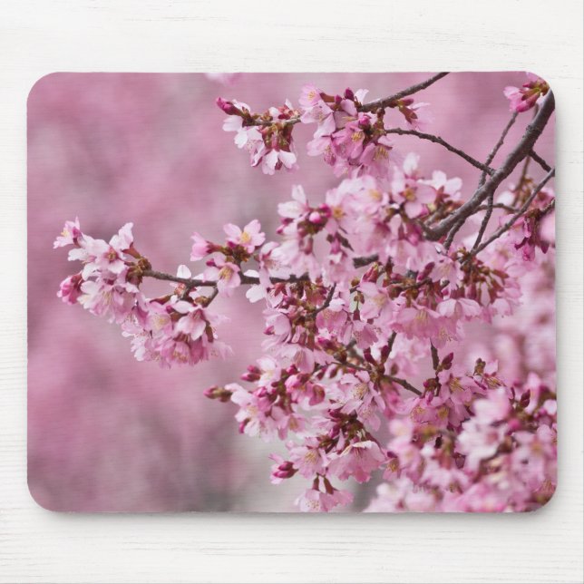 Sakura Cherry blüht pastellrosa Schichten Mousepad (Vorne)
