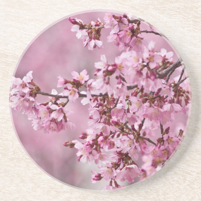 Sakura Cherry blüht pastellrosa Schichten Sandstein Untersetzer (Vorne)