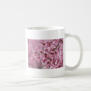 Sakura Cherry blüht pastellrosa Schichten Tasse