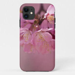 Sakura Cherry Blüten Delikatessen Pink Bouquet Case-Mate iPhone Hülle