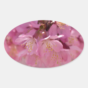 Sakura Cherry Blüten Delikatessen Pink Bouquet Ovaler Aufkleber