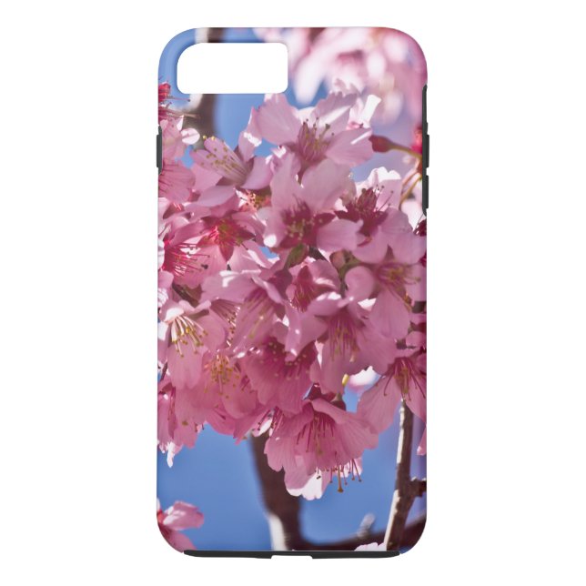 Sakura Cherry Blüten Rote Stars Case-Mate iPhone Hülle (Rückseite)
