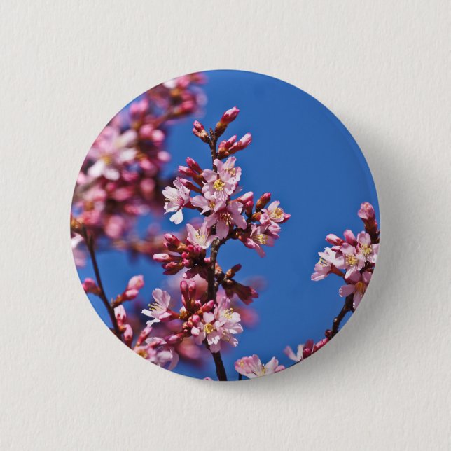 Sakura Cherry Blüten Touch Blue Button (Vorderseite)